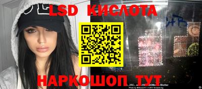 спайс Берёзовский