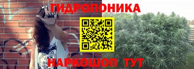 сатива Будённовск