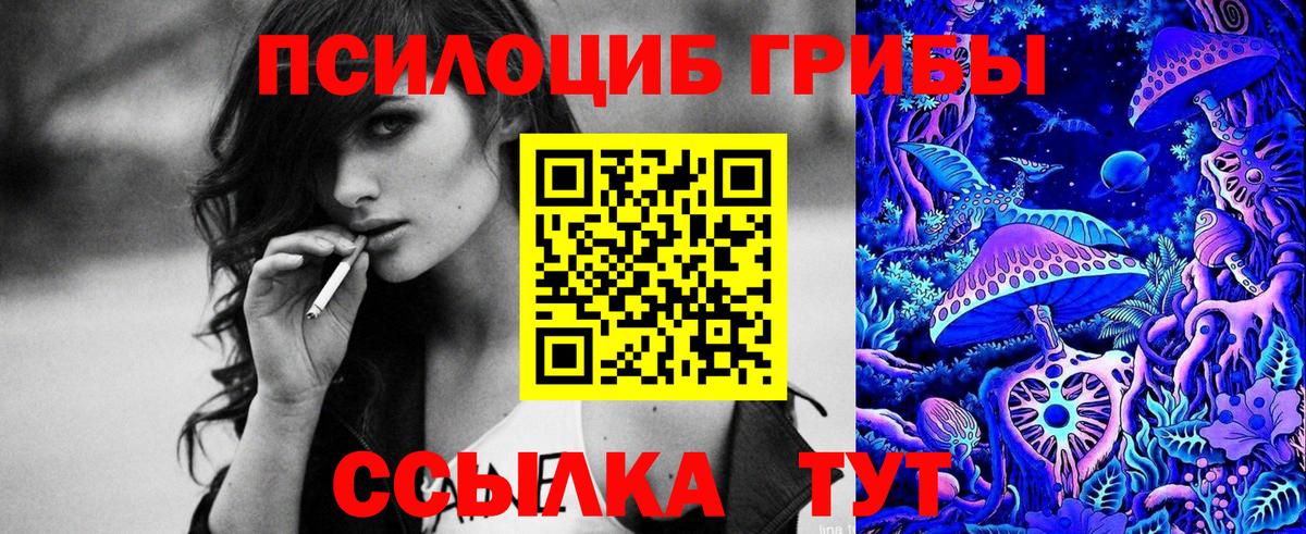 Псилоцибиновые грибы прущие грибы  Владивосток  Псилоцибиновые грибы прущие грибы 