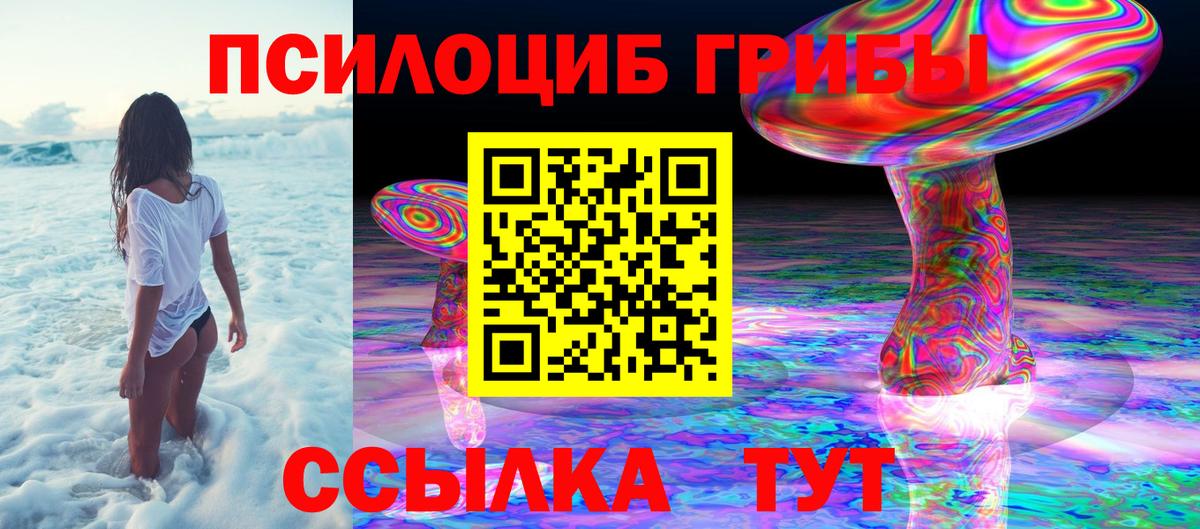 Псилоцибиновые грибы ЛСД  Вход с VPN  Псилоцибиновые грибы ЛСД  Владивосток 