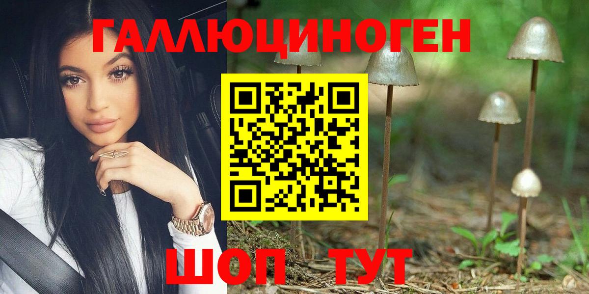 Галлюциногенные грибы GOLDEN TEACHER  Псилоцибиновые грибы MAGIC MUSHROOMS  Владивосток 